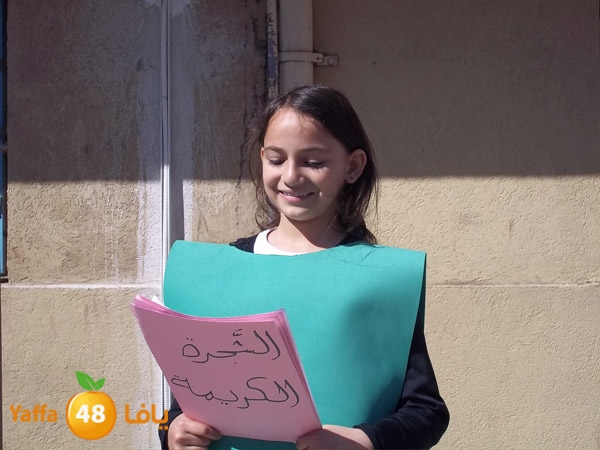 treesnewzahra2 (2).jpg